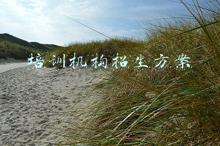 培训机构招生方案模板(教育培训机构国庆节招生活动策划方案)