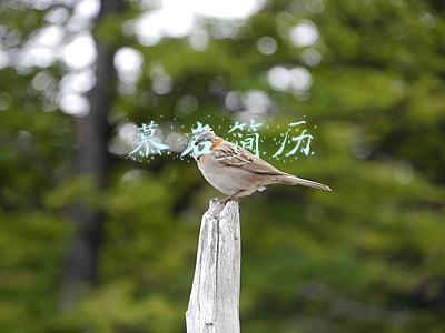 慕岩个人资料简介(5个月，20万媒婆，1300多万次牵线匹配，现又融2500万)