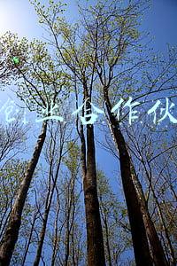 寻创业合作伙伴