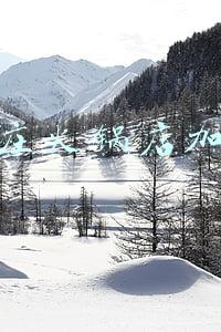 德庄火锅店加盟