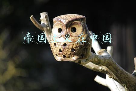 帝国主义在中国划分势力范围(读毛年谱（046）“工农武装割据”思想的成熟)