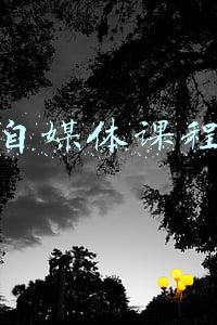 自媒体课程