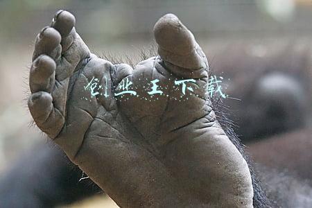 创业完整版(中年人的人生创业（完整版）)