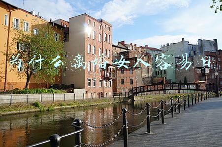 为什么离婚女人容易日试看(湃书单｜澎湃新闻编辑们在读的11本书：那猫，那书，那故事)