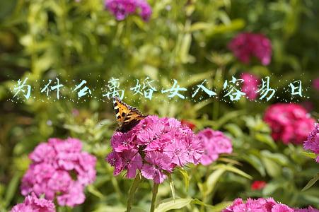 为什么女的天天想离婚(一直吵架，一直把离婚挂嘴边的女人，却始终没离？是什么心理呢？)