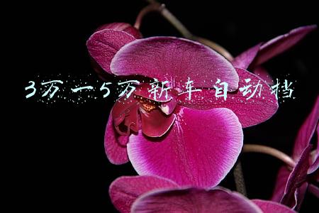 5万左右新车自动挡(5万元不一定买宝骏，这几款自动挡新车也很赞)