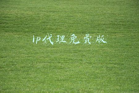 ip在线代理(一些免费的代理IP网站)