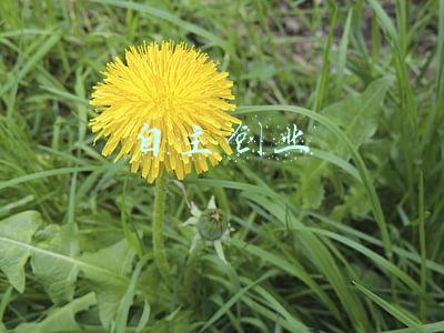 自主创业有什么好项目(2022年推荐四个新手创业项目，适合年轻人)