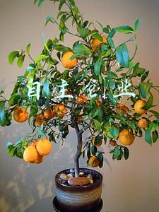 自主创业成本低小项目(打工没前途，想一个人自主创业，没有本钱怎么办呢？)