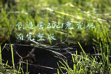 创造营2021免费观看完整版