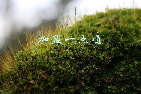 加盟一点通