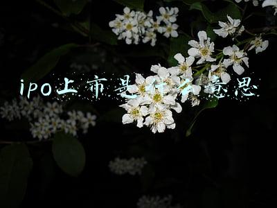 ipo上市是什么意思呢区长(又一家企业上市！浙江省上市企业最多的城区，在杭州)