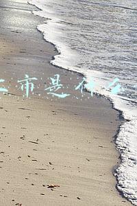 ipo上市是什么意思呢(新股上市)
