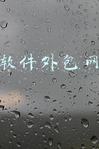 软件外包网