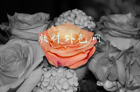 软件外包网