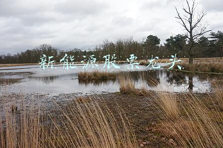 新能源股票龙头