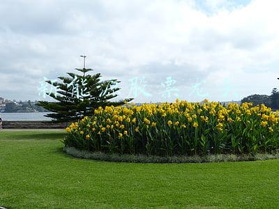 新能源股票龙头