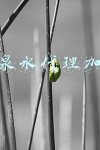 巴马矿泉水代理加盟(巴马矿泉水)