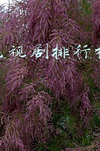 励志电影排行榜前十名(人生必看的十部励志电影)