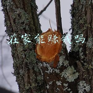 在家能干嘛赚钱(在家养2种花真赚钱，一年能生3麻袋小崽，拿去卖钱还能赚一笔)