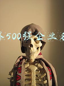 世界500强中国企业名单(中国企业世界500强的变迁史)