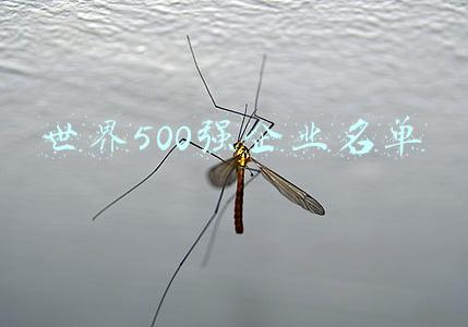世界500强美国企业名单(世界500强排名：美国122家，中国却上榜143家，稳居全球第一)