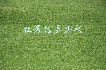 挂号信多少钱