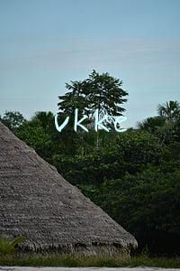 vkke品牌是正规品牌吗(vkke创始人是殷世航吗？vkke是什么牌子？殷世航是谁家里有钱吗)