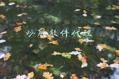 炒股软件代理