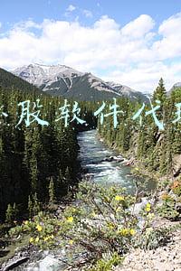 炒股模拟训练软件(股市中学如何把脉经济社会发展，中南大有个A股分析协会)