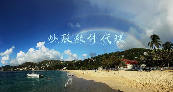 同花顺炒股软件(同花顺一度崩了，公司致歉！股民的损失可以追究吗？)