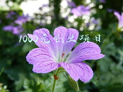 1000元创业项目有哪些(2022年，适合负债者与身无分文者白手起家的一条最佳的创业途径)