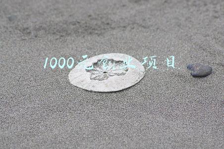 1000元创业项目介绍500字(“钱变纸”“纸变钱”双创中心助力企业闯关)