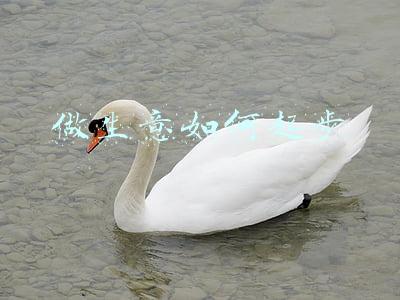 做买卖如何起步(浅谈交易中的规则和原则)