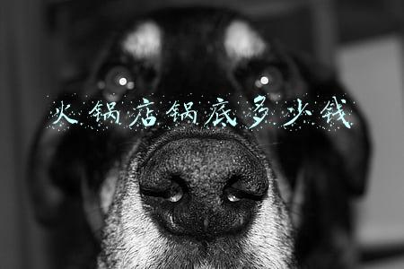 火锅店锅底多少钱不会亏，火锅店的锅底一般卖多少钱
