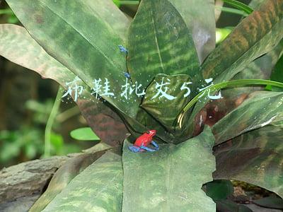 布鞋批发5元到15(比1688还便宜的35个货源平台，你值得收藏（带网址）)