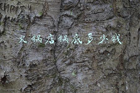 锅底一般多少钱 火锅锅底一般多少钱