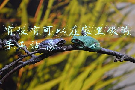 有没有什么可以在家里做的手工活(在家可以做的手工活项目，有哪些比较真实可靠，并且收入也不低？)