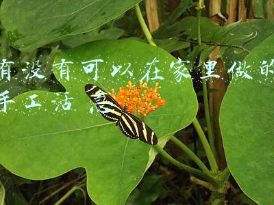有没有可以在家里做的兼职(想在家里做副业？这6个兼职不要再做了，费时费力还不能赚钱)
