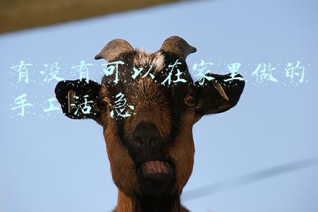 手工活之家官方网站(手工创业联盟基地-心手织之家)