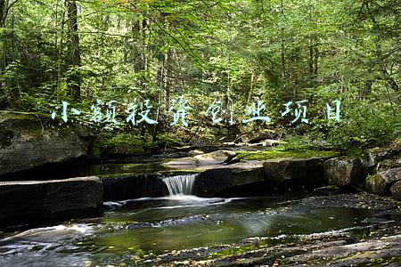 小额投资创业项目