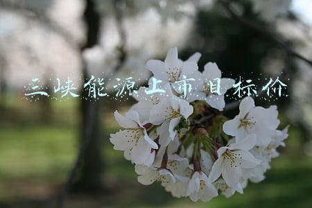 三峡能源上市目标价
