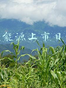 600905三峡能源目标价(600905 三峡能源)