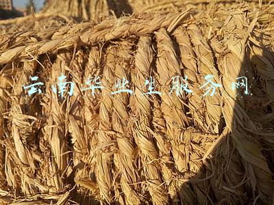 云南毕业生招聘网(年薪8-12万！云南云内动力集团招聘82名应届毕业生)