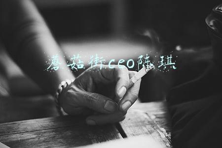 蘑菇街ceo陈琪