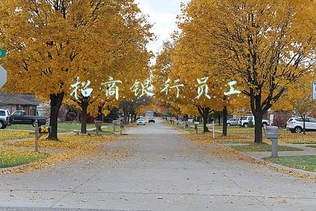 招商银行员工真实待遇(240万银行人涨工资了！上半年沪农商行涨薪最多、招行月薪5.8万位居第一)