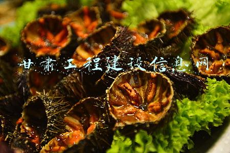 甘肃工程建设信息网