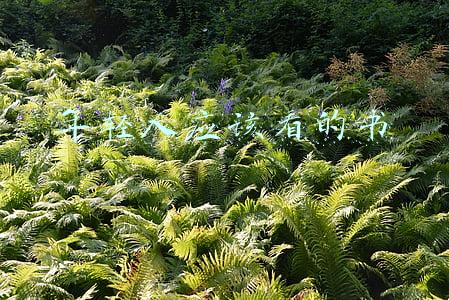 年轻人应该看得书(有哪些好书推荐给当代年轻人阅读？)