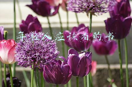 年轻人应该读的书(豆瓣9.0高分，年轻人必看的5本书（第二期）)