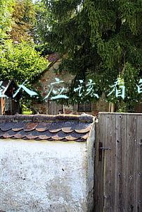 年轻人必看的书(年轻人阅读的优秀书籍清单)